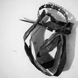 dailyPhoto33